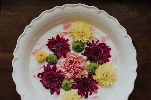 meal assorted flower decor dish