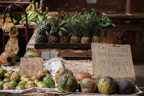 plant assorted fruits on display with prices fruit