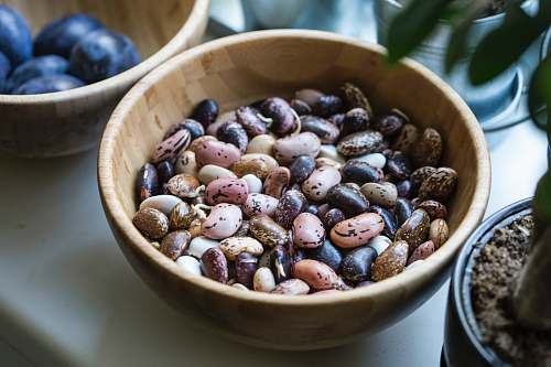 plant assorted pebbles bowl