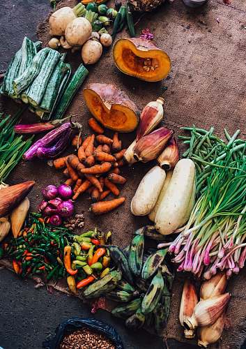 plant assorted vegetables on brown textile squash