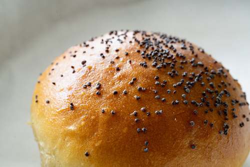 bread baked bread with sesame seeds bun