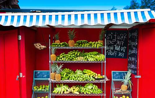 fruit banana fruit plant