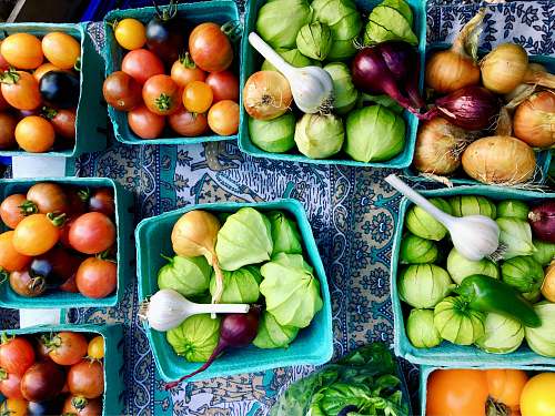 vegetable basket of tomato, garlic, and onions on white and blue floral surface bowl