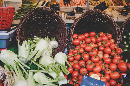 vegetable basket of tomatoes and vegetables tomato