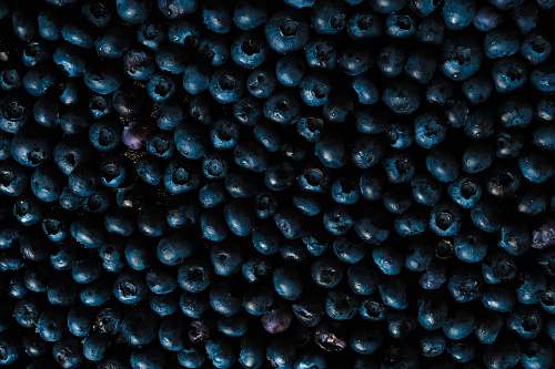 plant black and gray stone fragments blueberry