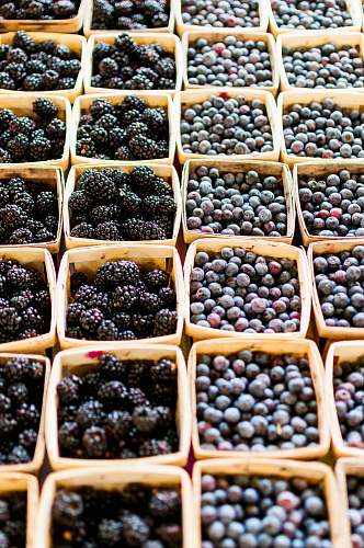 fruit blackberry and blueberry fruits blueberry