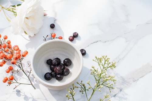 plant blue berries on white ceramic bowl blueberry