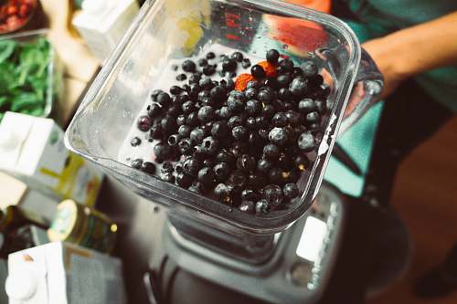 fruit blueberries in blender blueberry