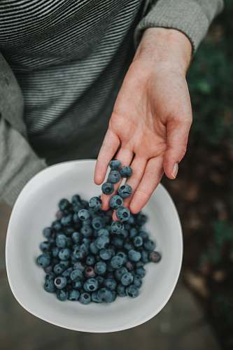 fruit blueberries in bowl plant