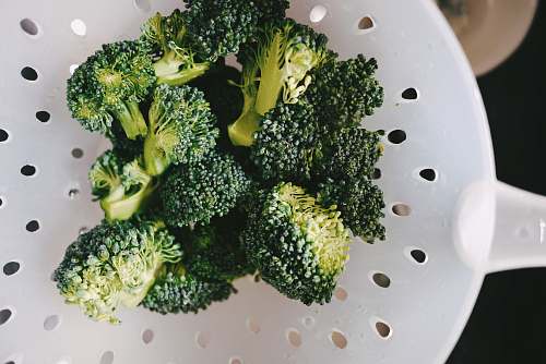 plant bowl of broccoli broccoli