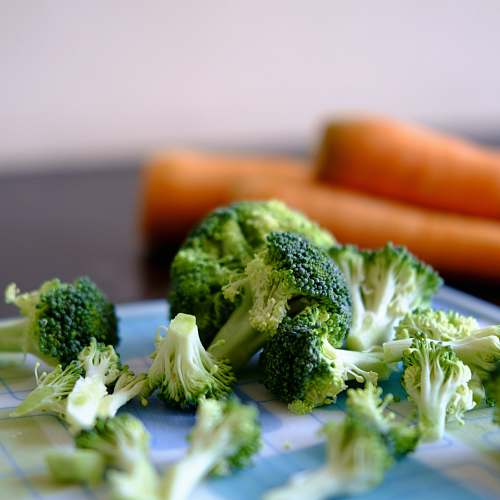 vegetable broccoli vegetable broccoli