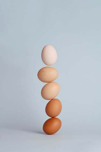 egg brown and white eggs balance