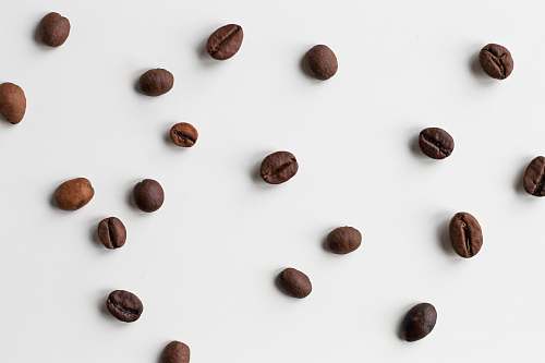 bean brown coffee bean lot flora
