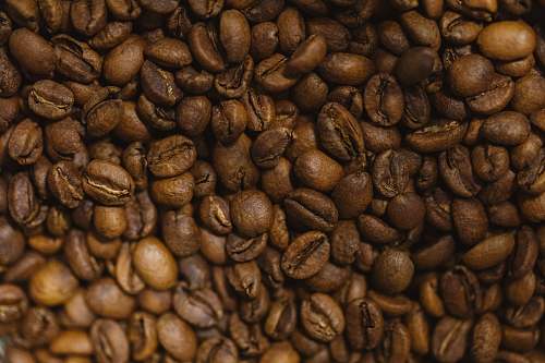 flora brown coffee beans bean