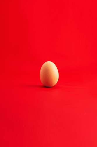 egg brown egg easter egg