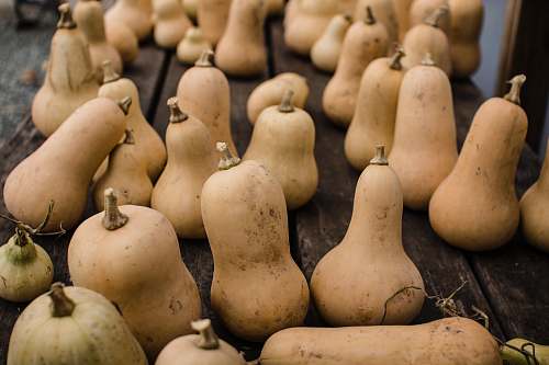 vegetable brown gourd lot produce