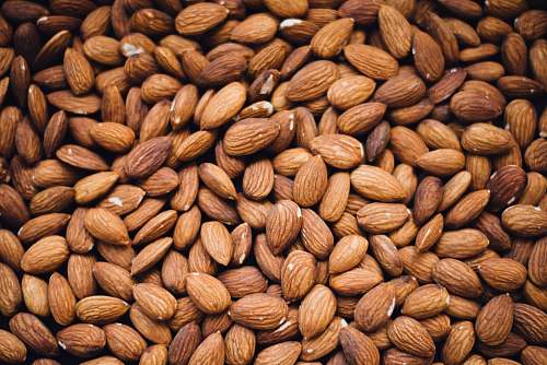 nut brown nuts flora
