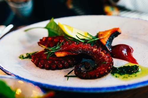 lobster brown octopus on plate seafood