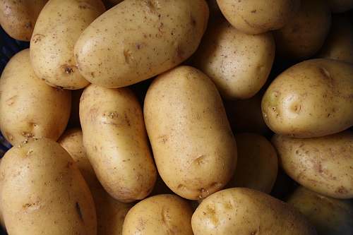 potato brown potato lot vegetable