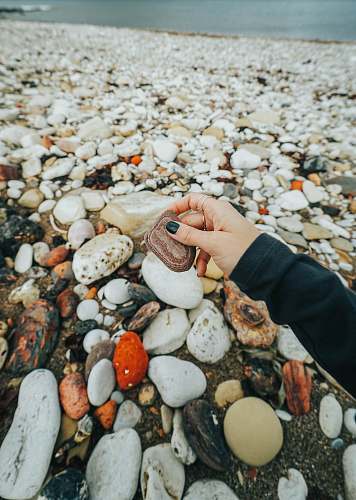 egg brown stone pebble