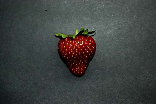 fruit brown strawberry plant