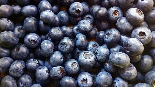 fruit bunch of blueberries blueberry