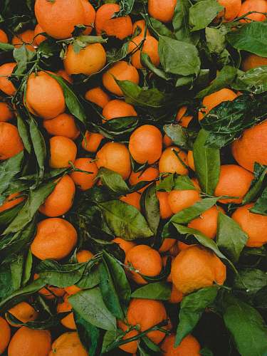 orange bunch of orange fruits fruit