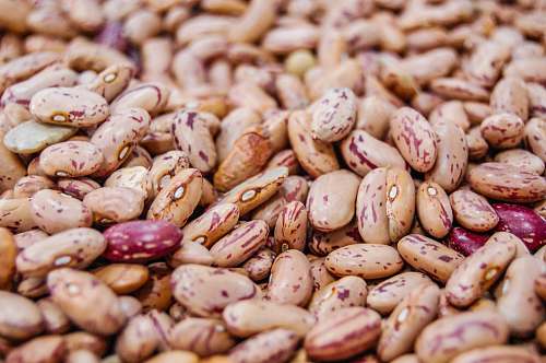 plant bunch of peanut flora