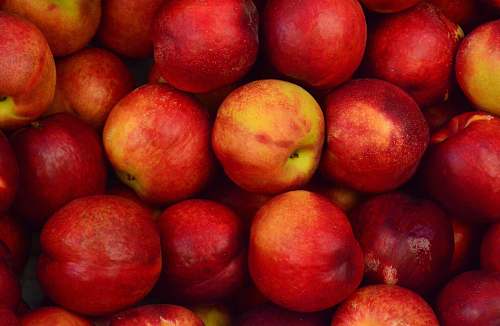 fruit bunch of red apples apple