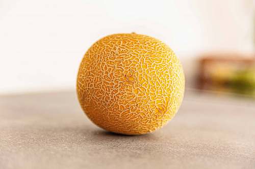 fruit cantaloupe fruit melon