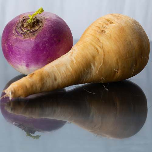plant carrot and onion on gray surface vegetable