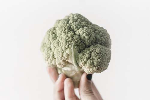 plant cauliflower cauliflower