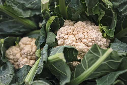 cauliflower Cauliflower vegetable macro photography vegetable
