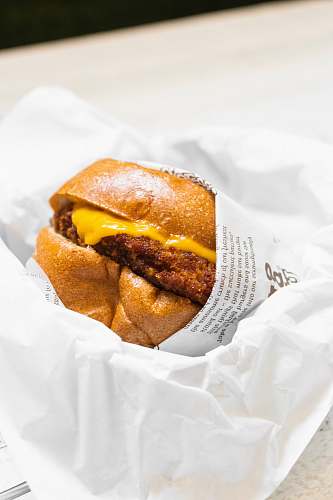 burger cheese burger on focus photogaphy 