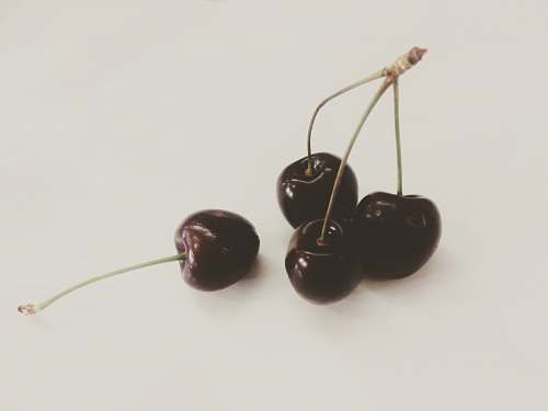 fruit cherry fruits on white background cherry