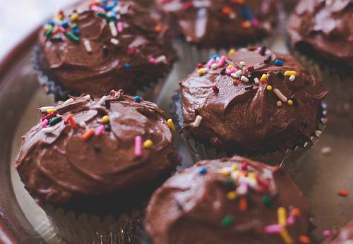 cake chocolate cupcakes with sprinkles sprinkles