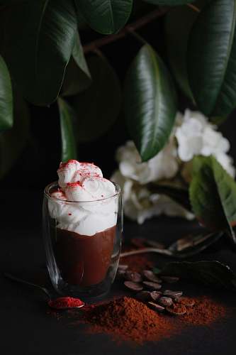 dessert chocolate drink with whipped cream topping creme