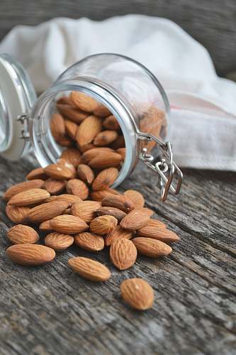 nut close up photo of Almonds almond