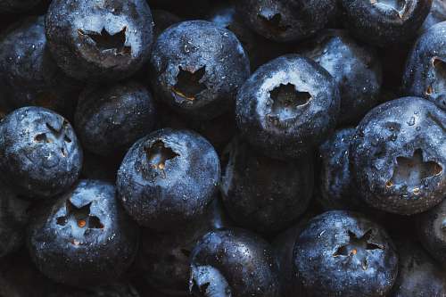 fruit close-up photo of blue berries blueberry