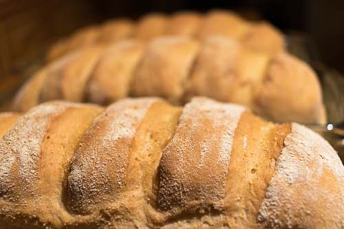 bread close-up photo of bread bun