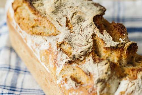 bread close-up photo of bread on white and blue plaid textile kitchen