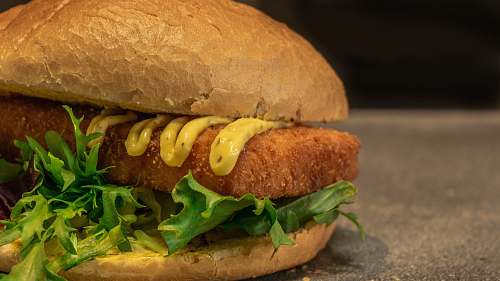 burger close up photo of burger sandwich