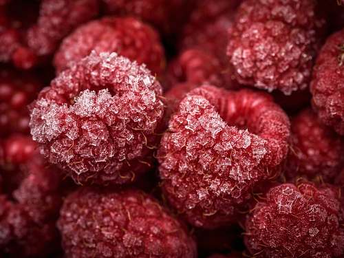 fruit close-up photo of red fruits raspberry