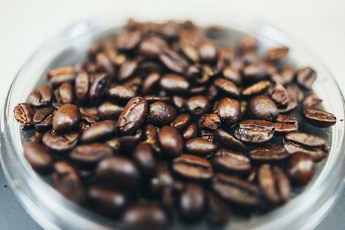 bean close-up photography of brown coffee beans flora
