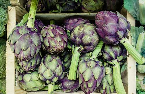 produce close-up photography of green and purple vegetables artichoke