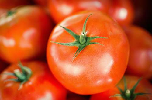vegetable close-up photography of orange tomato tomato
