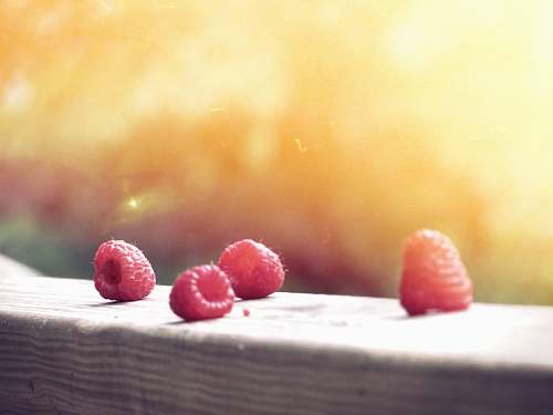 fruit closeup photo of red fruits raspberries