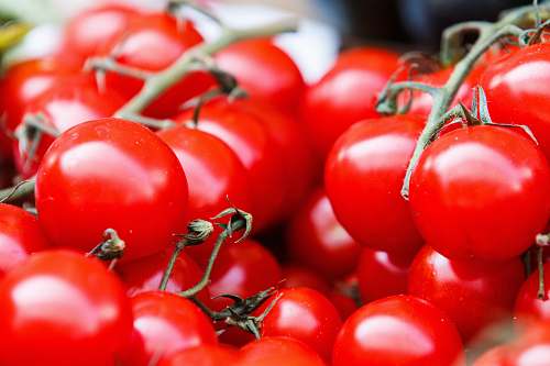 red closeup photo of red tomatoes tomatoes