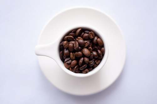bean coffee bean filled coffee cup with matching saucer coffee