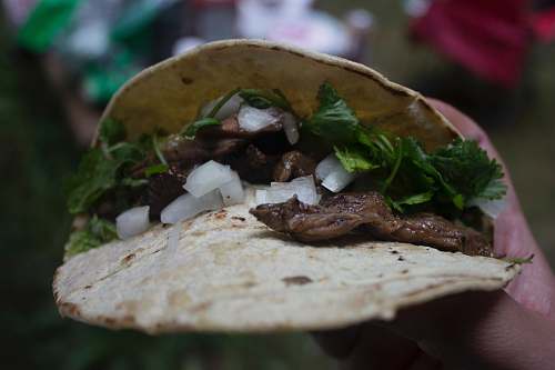 bread cooked tacco pita